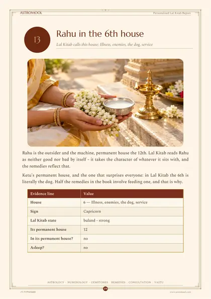 Lal Kitab Report - sample page 2